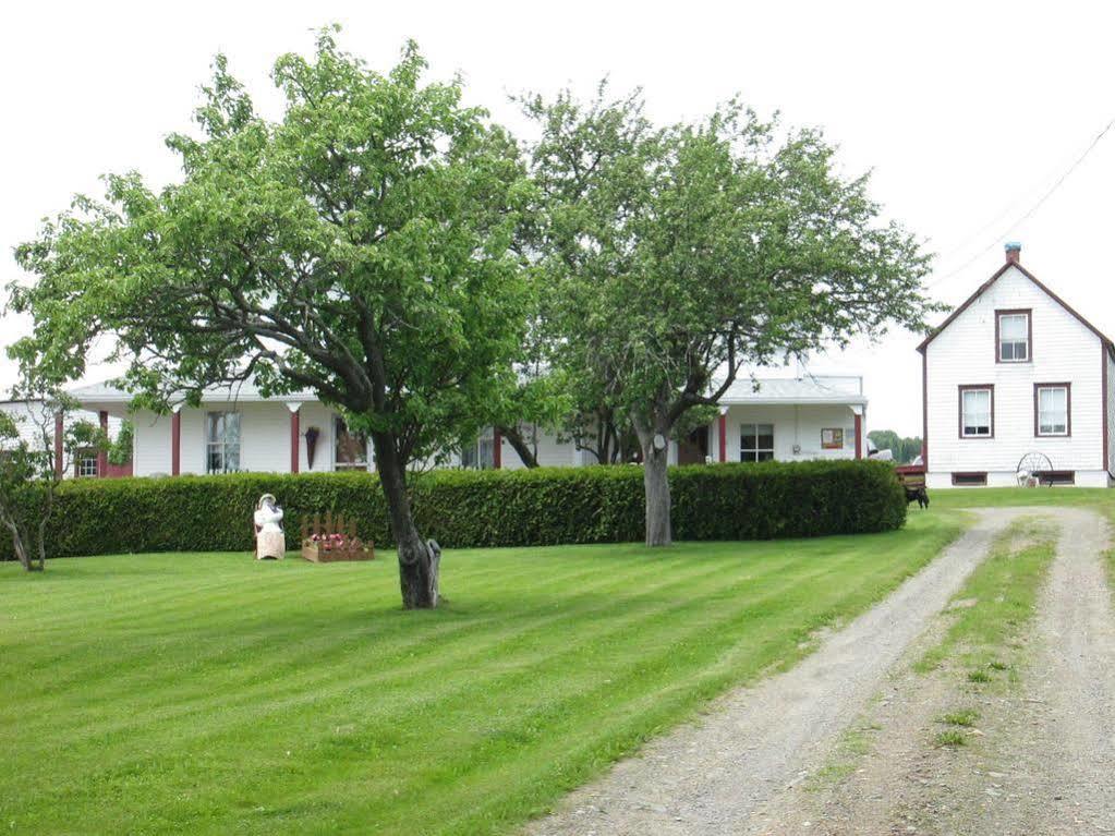 Gite Les Acres Tranquilles B&B Port-Daniel Eksteriør billede
